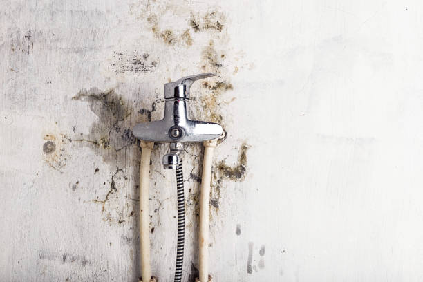 Lebanon, PA Mold Removal Company