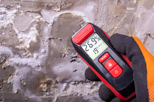 Best Professional Mold Removal  in Lebanon, PA