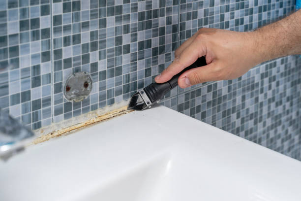Best Mold Damage Repair  in Lebanon, PA