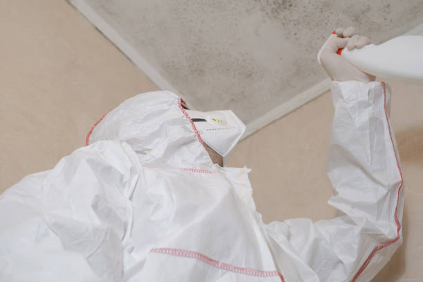 Attic Mold Removal in Lebanon, PA