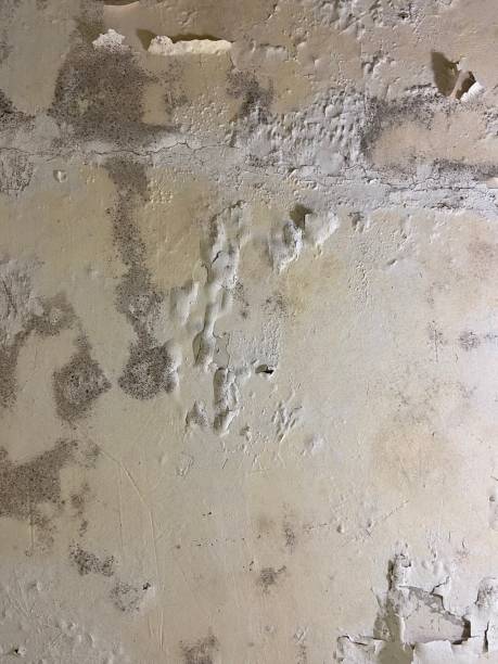 Best Office Mold Removal Services  in Lebanon, PA